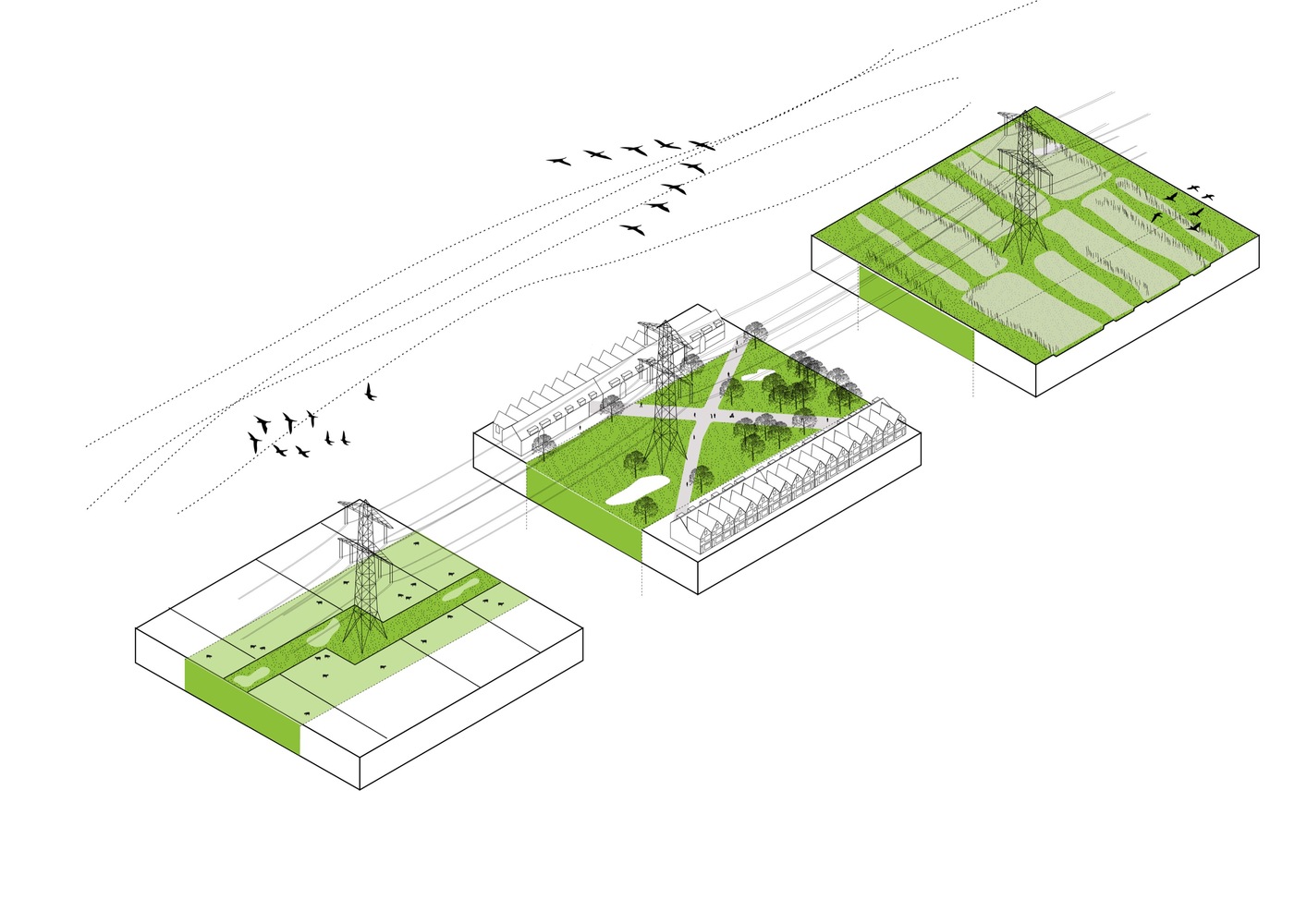 18.Synergysoft Healthy Cities